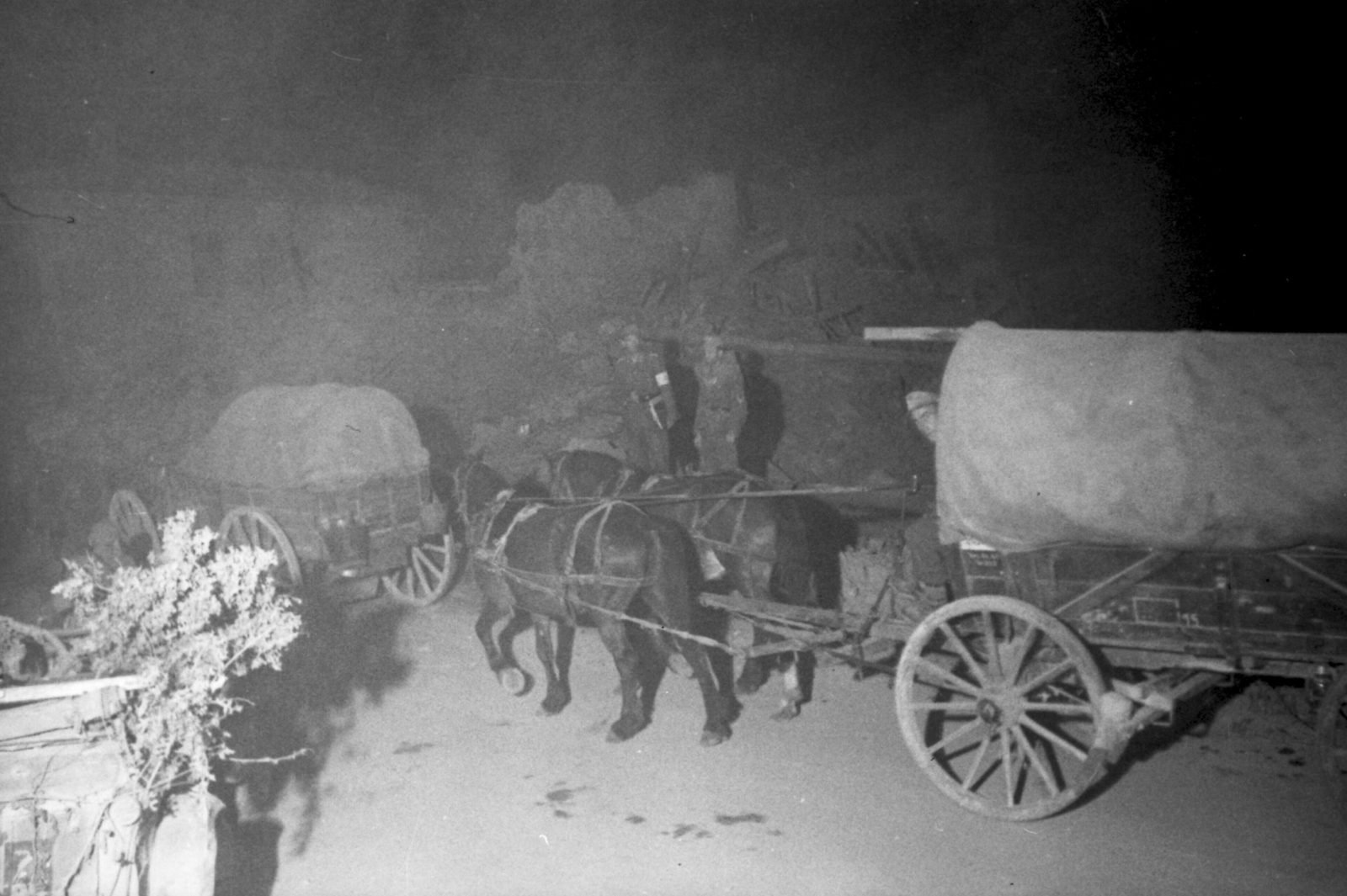 Parelhas de cavalos puxando carroças cobertas numa estrada à noite, com soldados ao fundo.