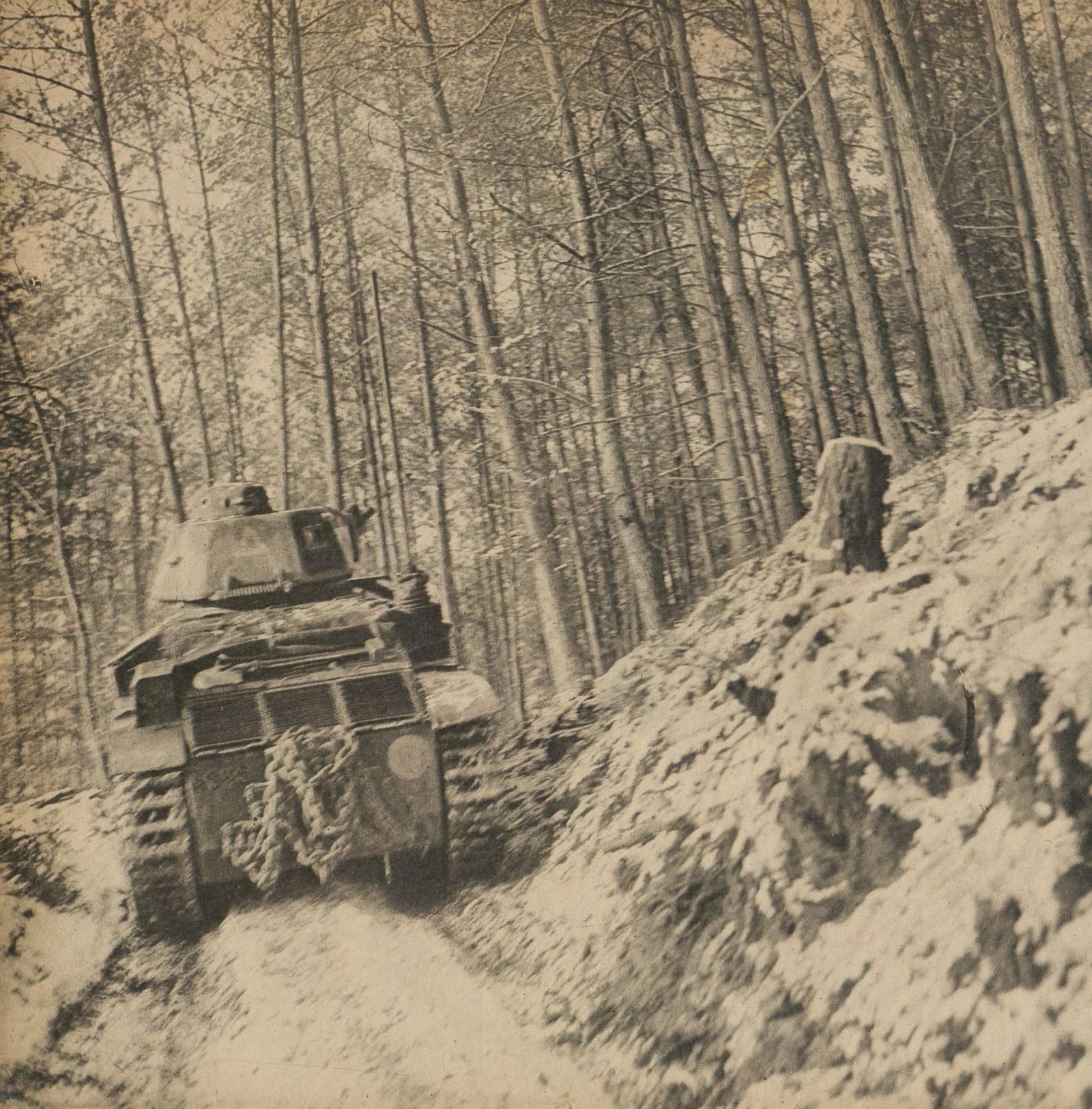 Tanque francês visto de trás subindo um caminho estreito de floresta coberto de neve, entre pinheiros altos
